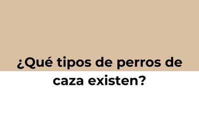 Tipos De Perros De Caza Perroscazadores