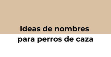 nombres para perros de caza