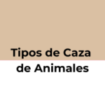 tipos de caza de animales