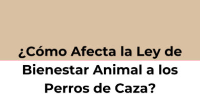 ¿Cómo Afecta la Ley de Bienestar Animal a los Perros de Caza?