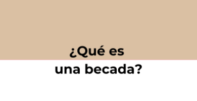 ¿Que es una becada?